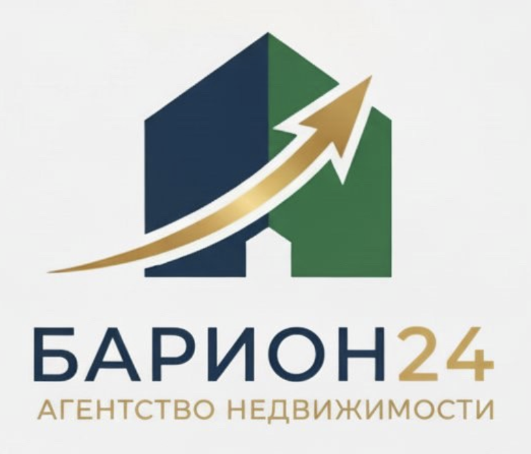 Логотип Барион24